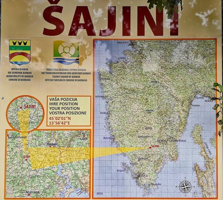 Luna Šajini